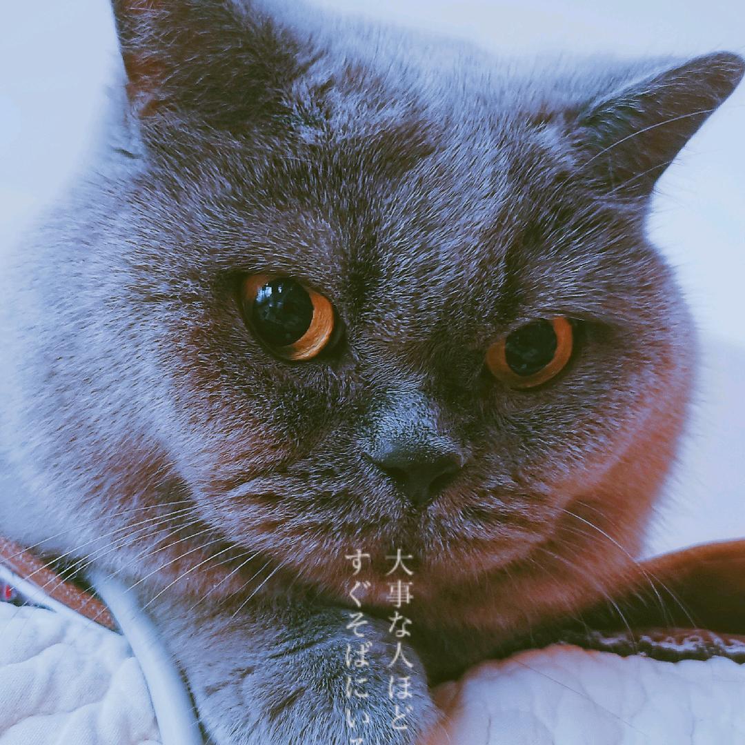 🍬平安·喜樂🍬