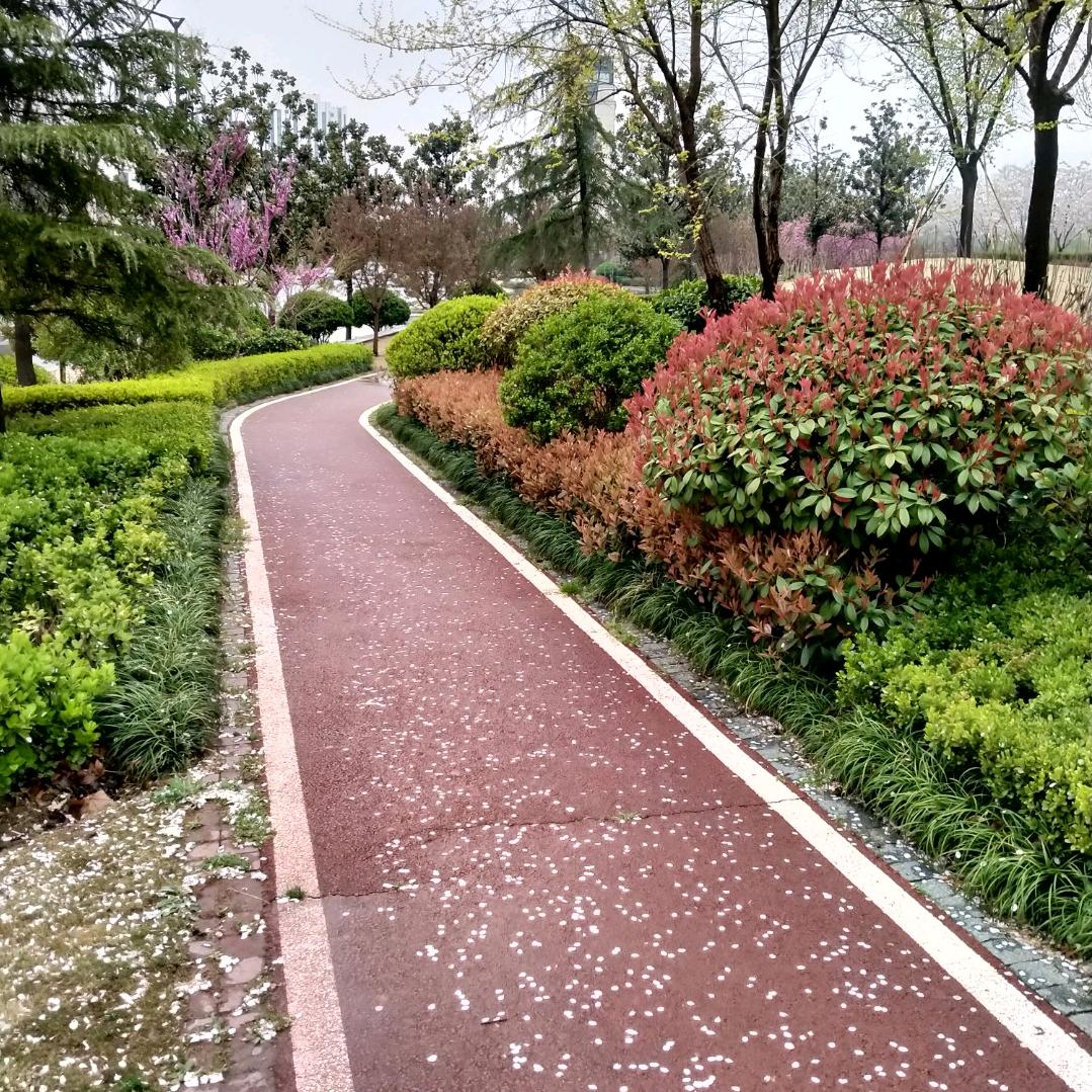 linyi15515