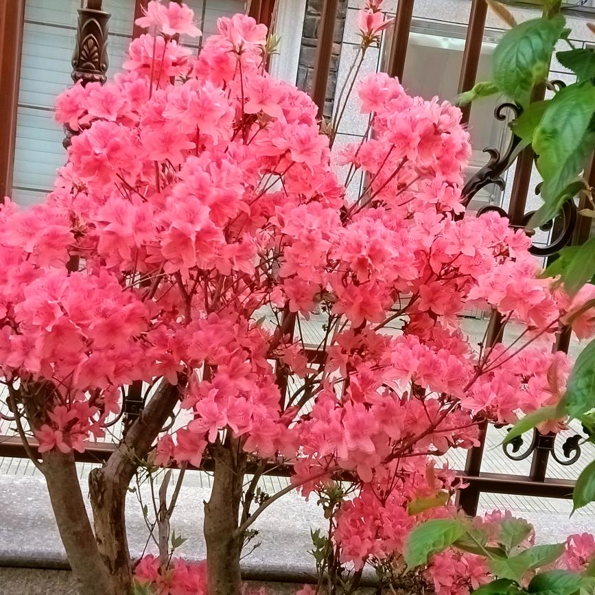 梦醒时分