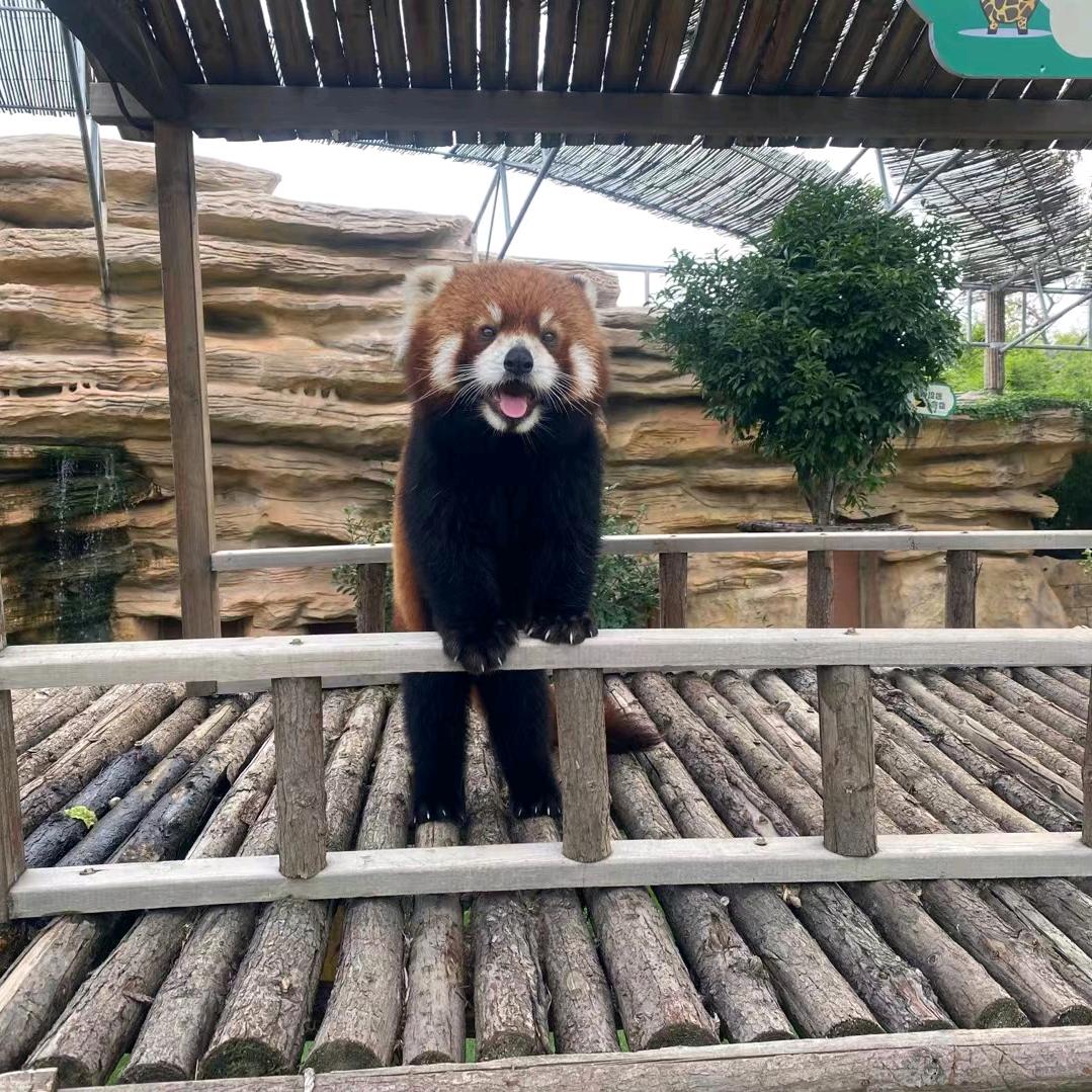 唐师傅在钓鱼头像