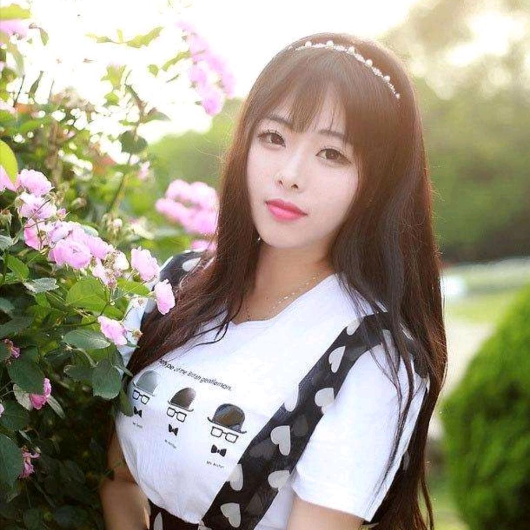 建筑模板木方厂家