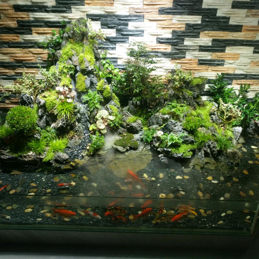节节高升