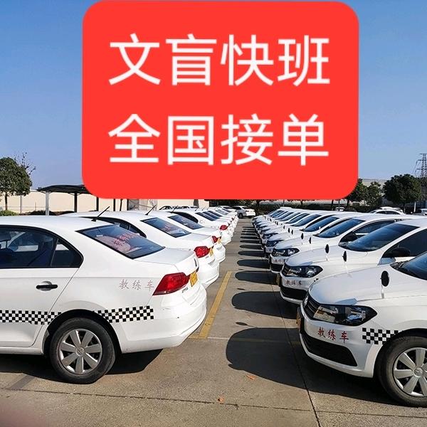 女教大姐头，驾考信息咨询