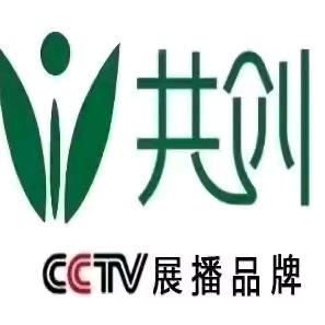 易晓英共创墙板装饰