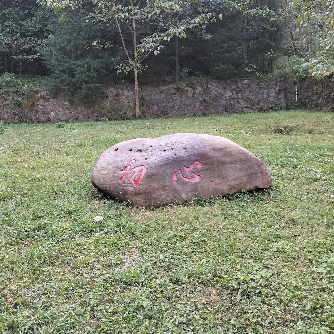 时光