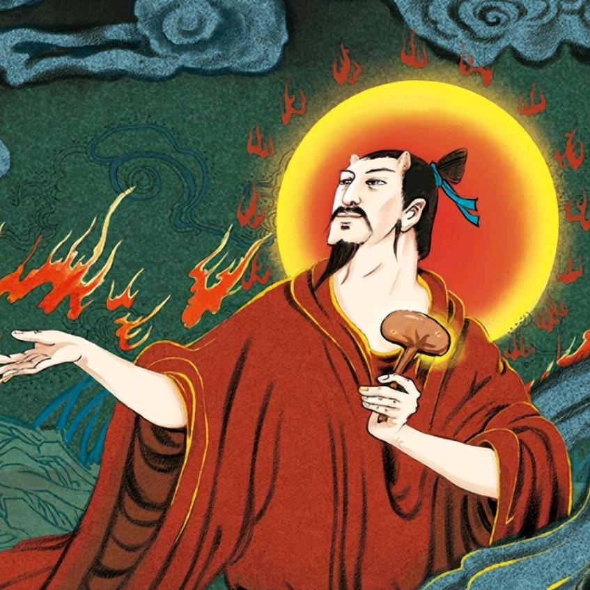 链长说营养