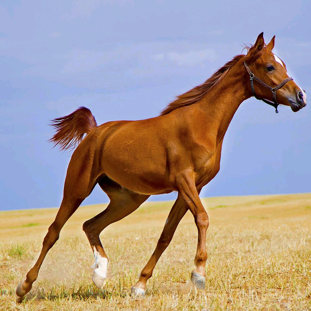 《  海纳百川  @》