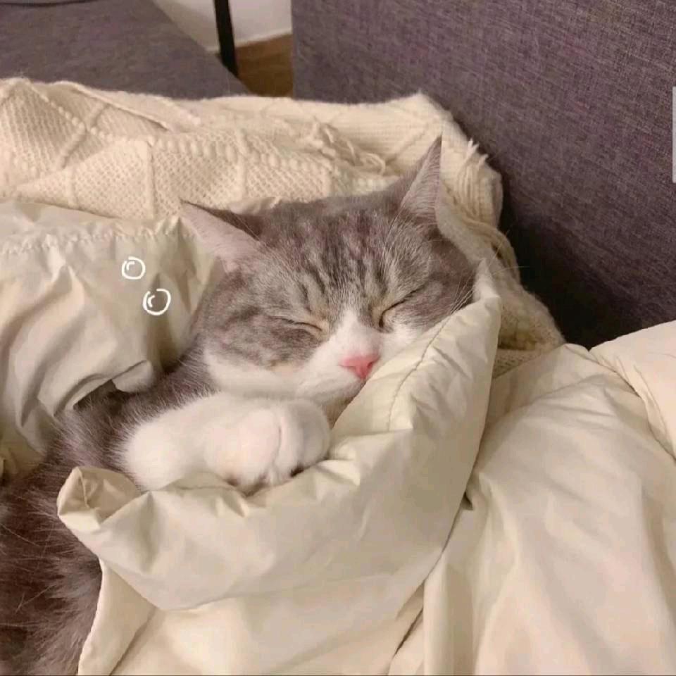 小心❤️