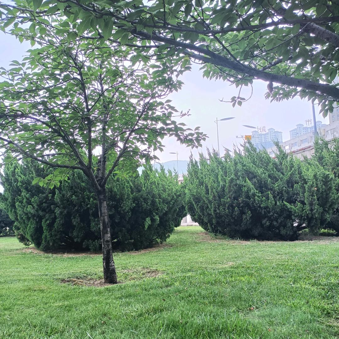 不要问我为什么