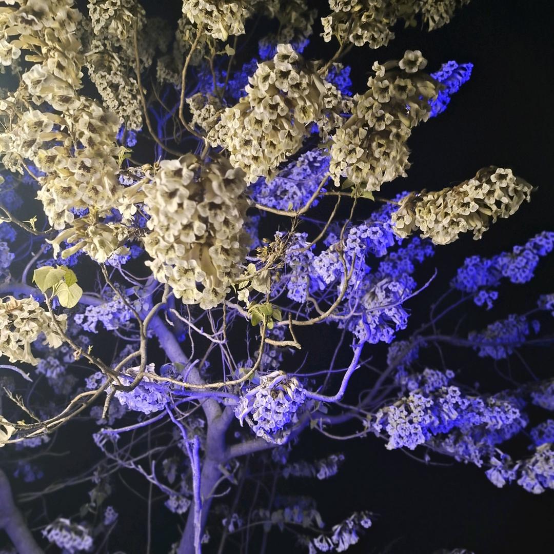 铸造机械厂