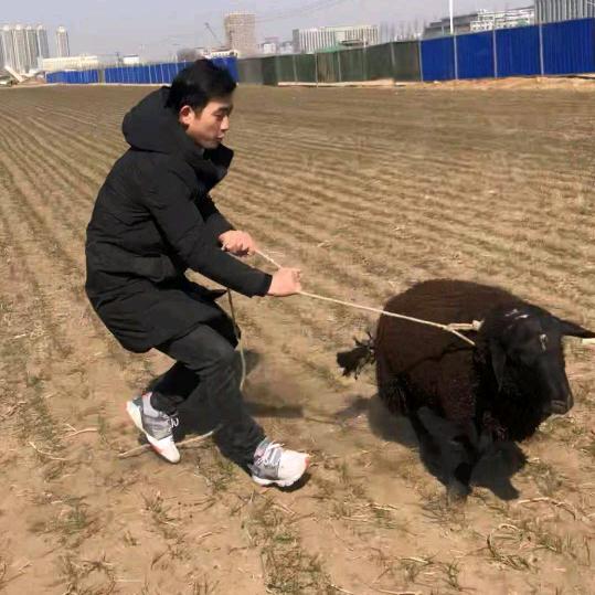 搞笑三两哥