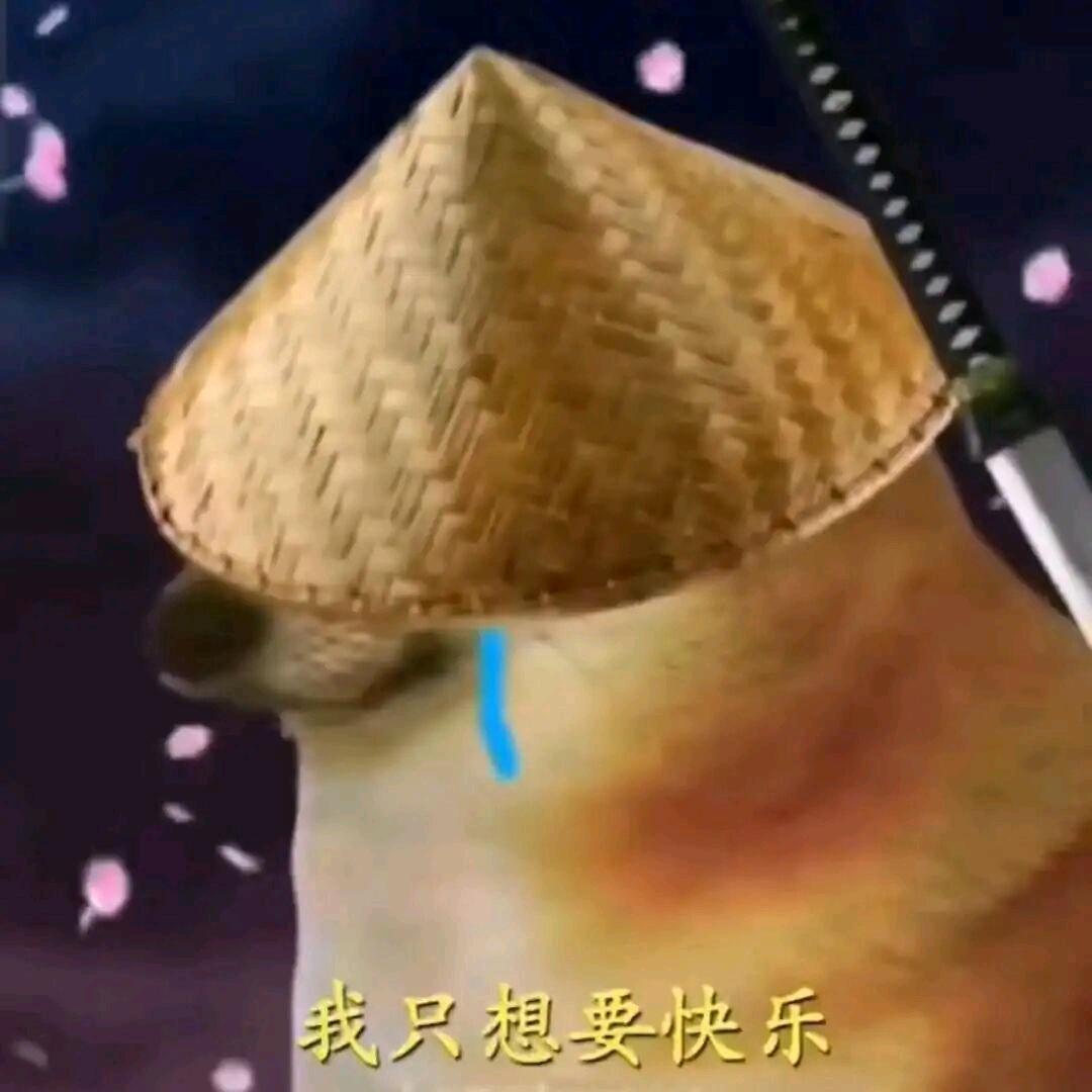 树下眠头像