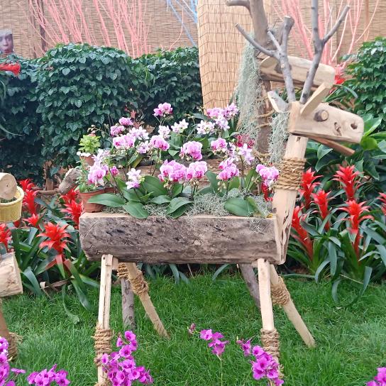 青州市家豪家庭农场代收代发各种蔬菜