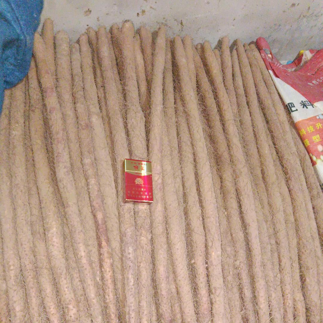 嘟嘟爸   铁棍山药