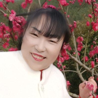 刘家河