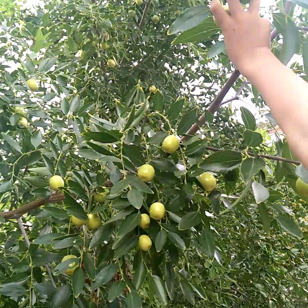 真相的意义）