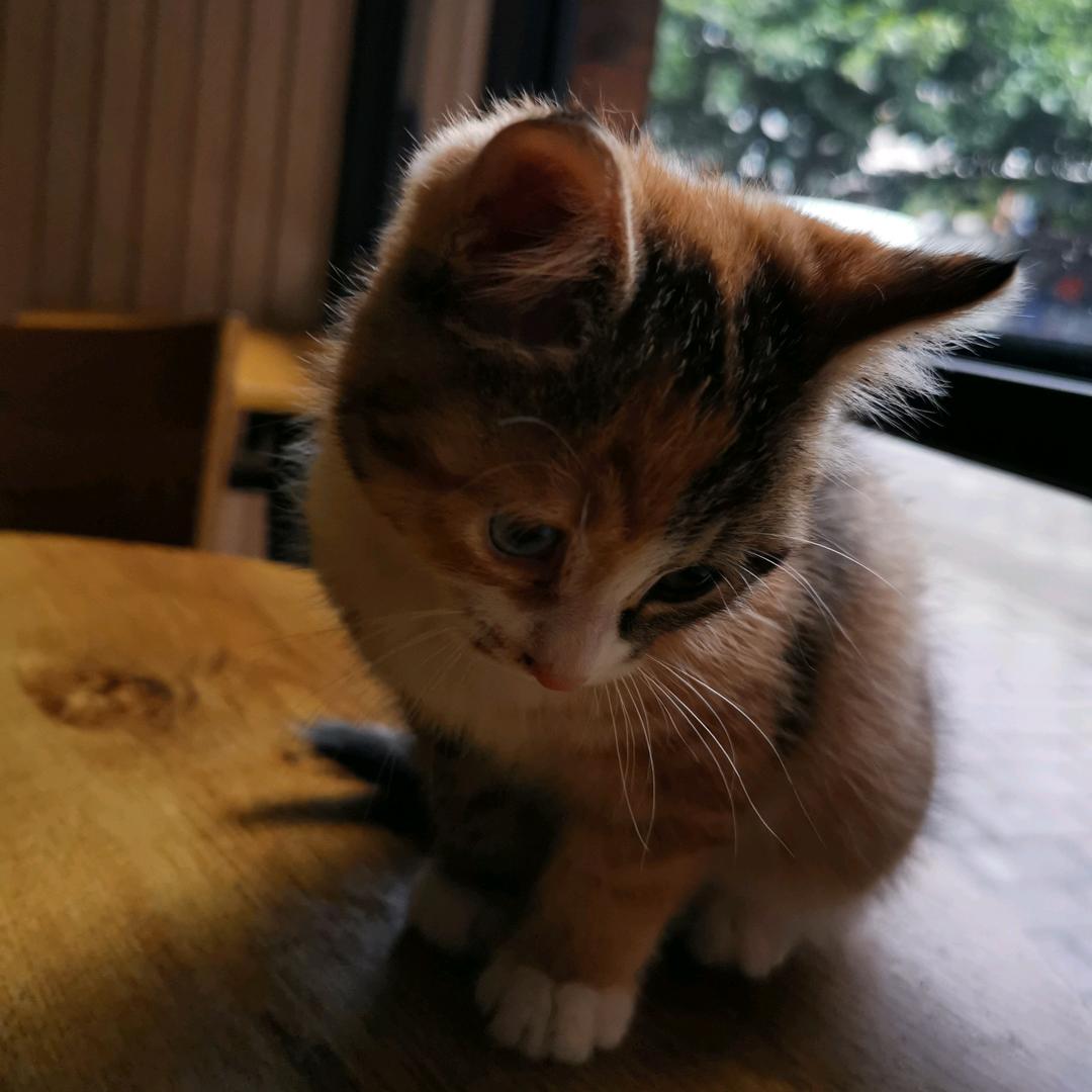 3小姐