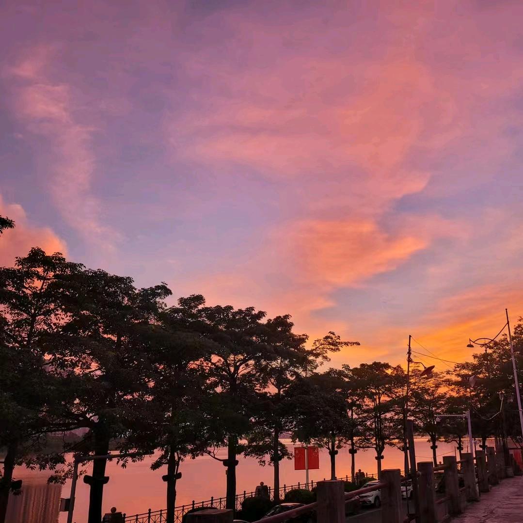 .🌈（蜉蝣一梦）