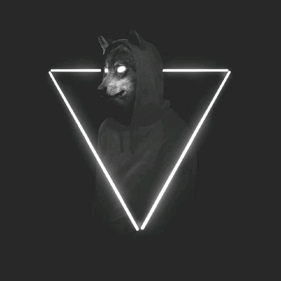“ψ(｀∇´)ψ