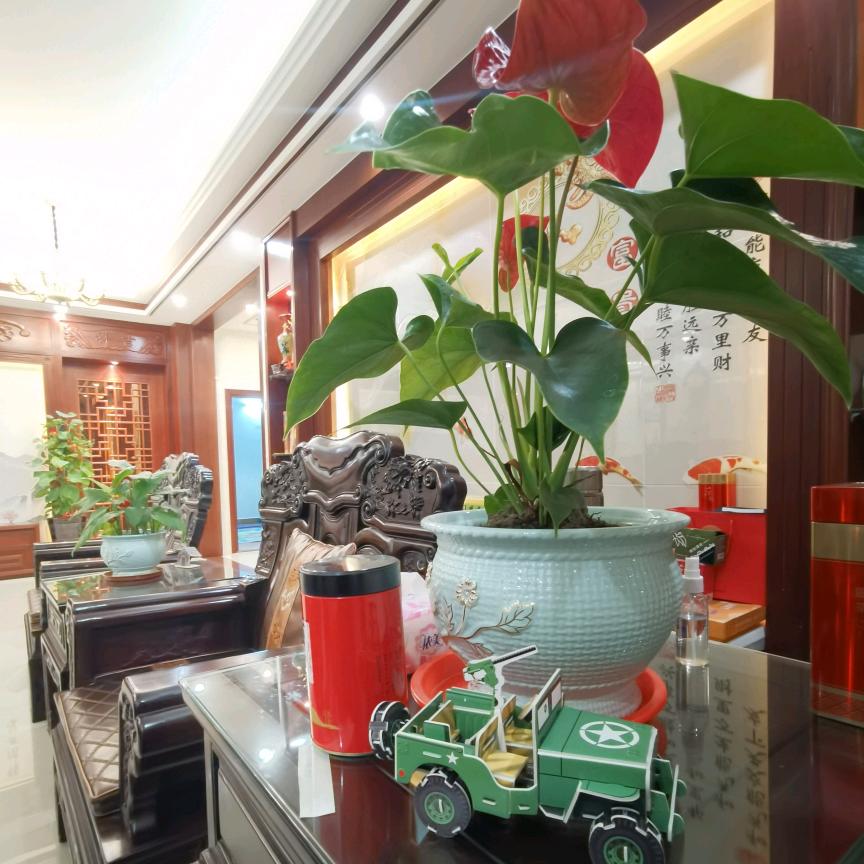 AA斌（珠江电缆）五金电器