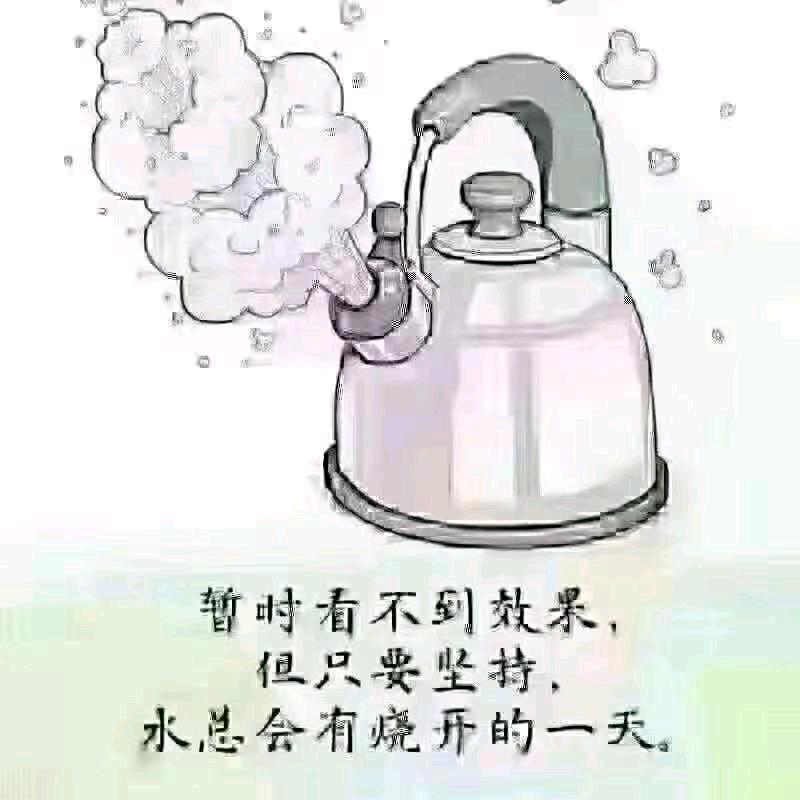 每天不一样