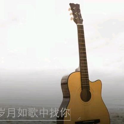 飘雪《西藏杭叉总经销》