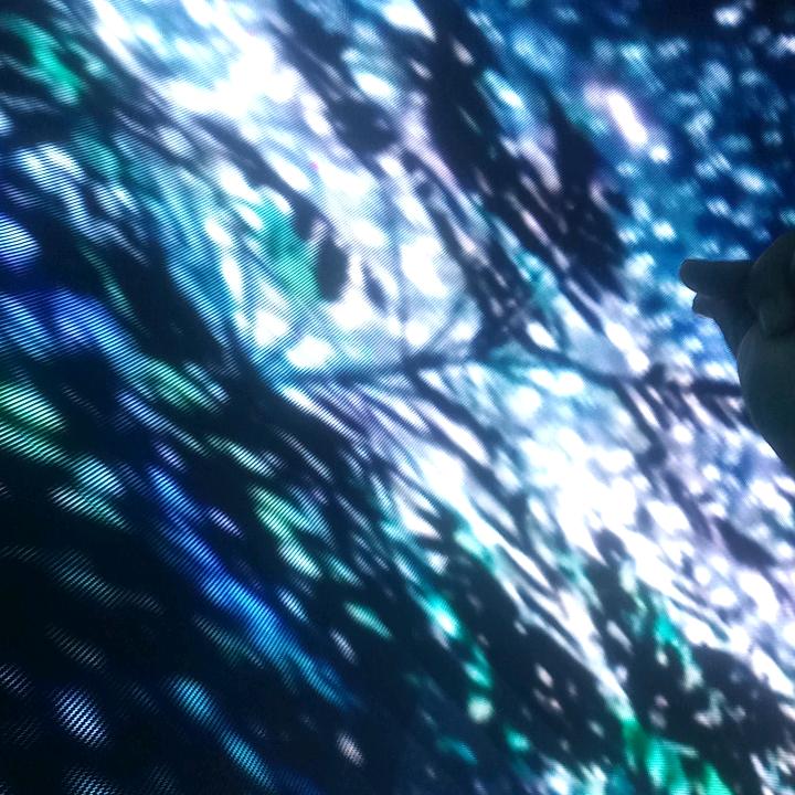 烤红薯姐徒弟🍀小土豆