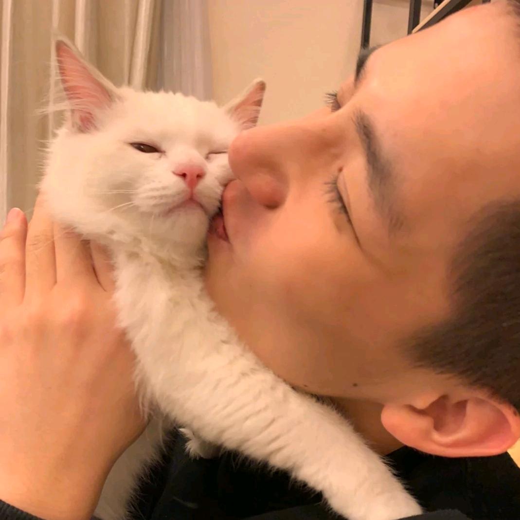 天才大猫咪.