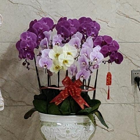 广东锡铂