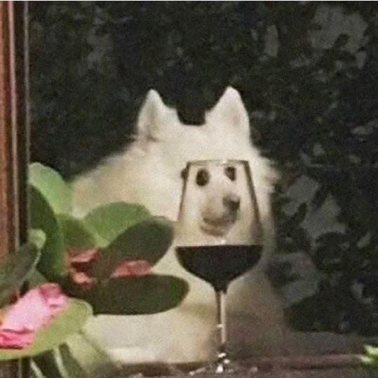 屁江乖乖个体店