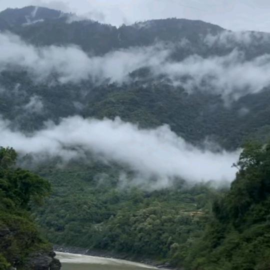 听风