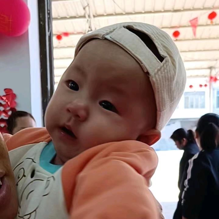 (｡￫桐桐￩｡)