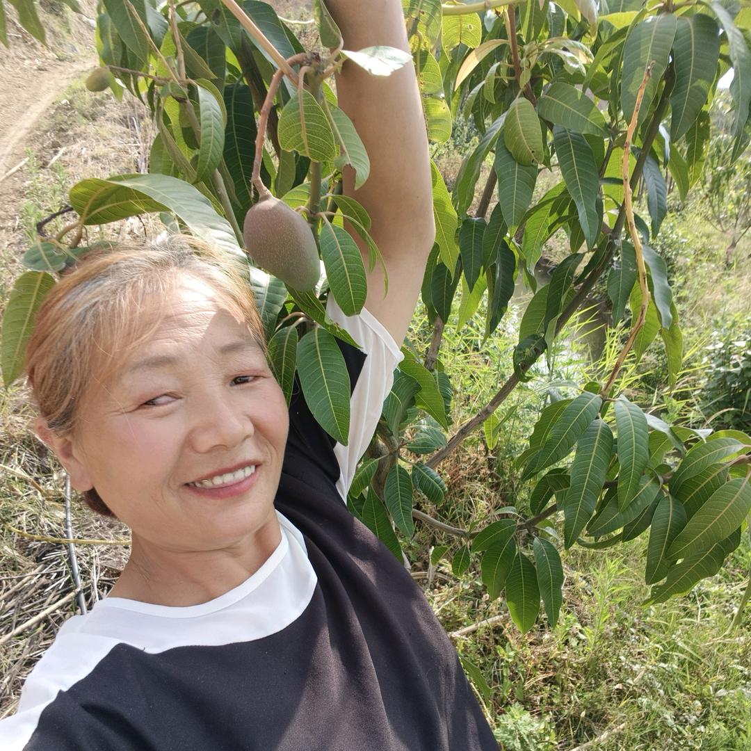 曾经的梦