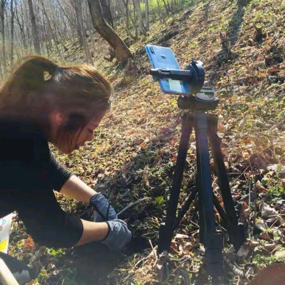 开航惠娴人参专卖店