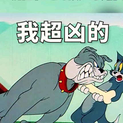 山河、跑快点