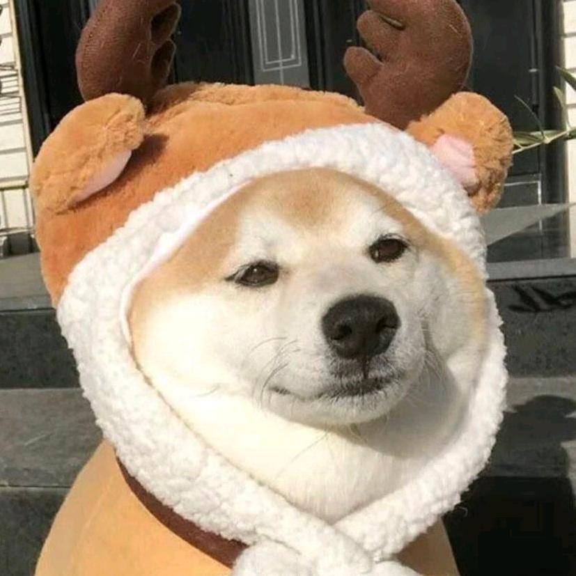 少年阿汪