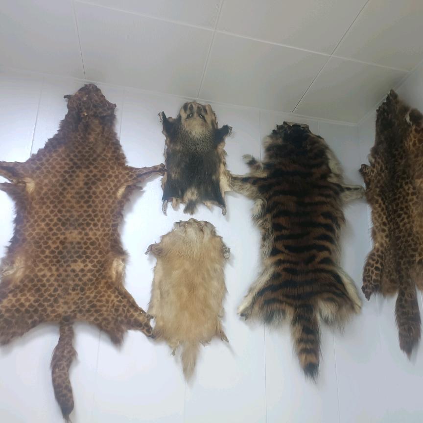 一生无悔（全品类商品）