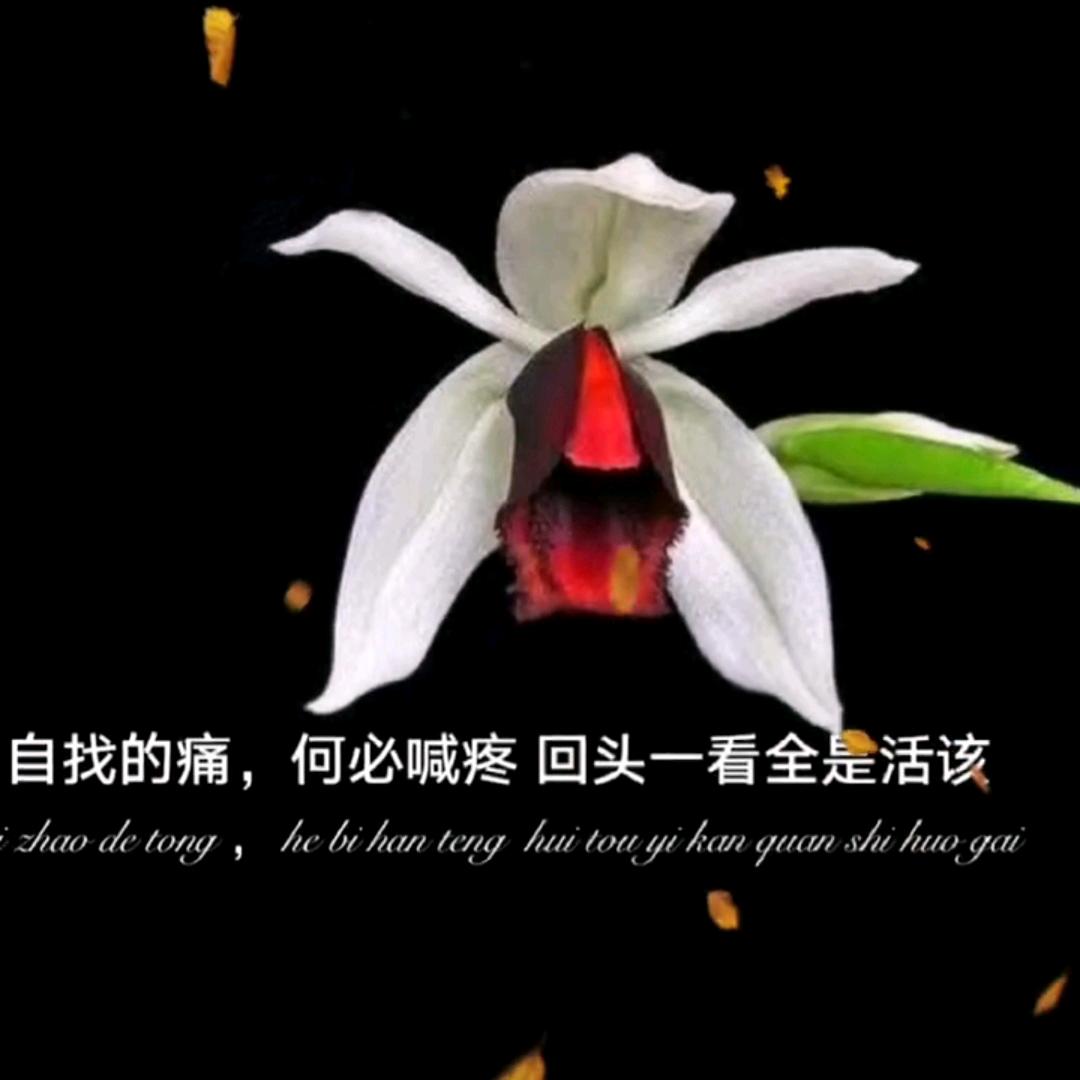 听风说