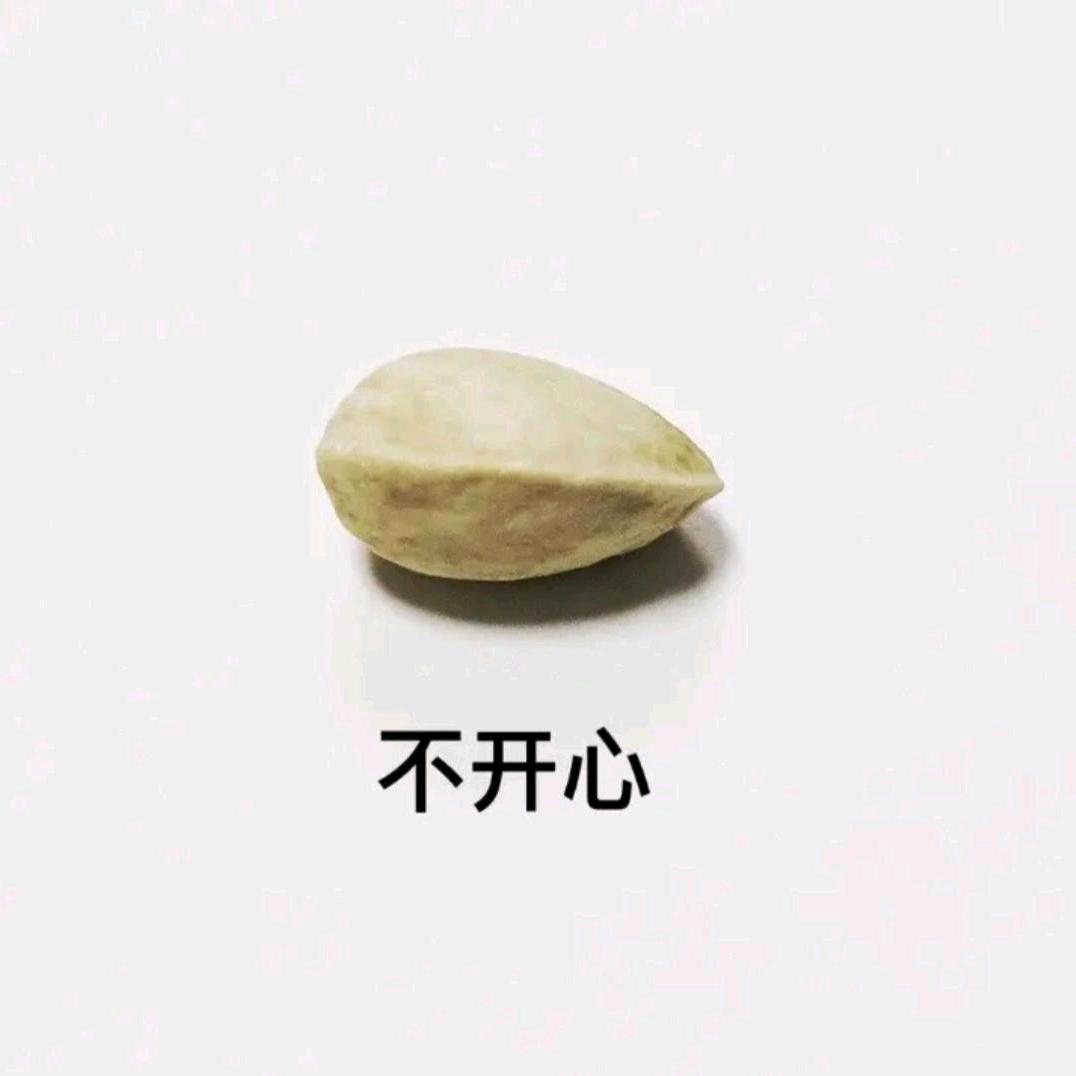 只想吃汉堡