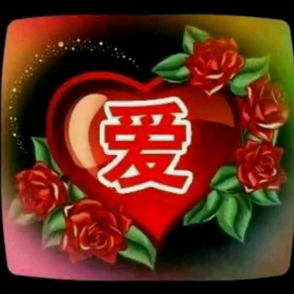 王哥专业收树