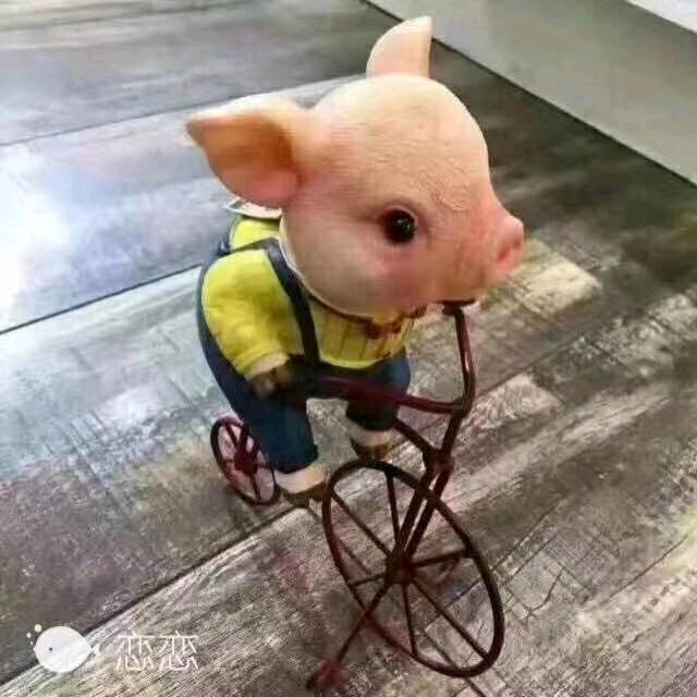 发发
