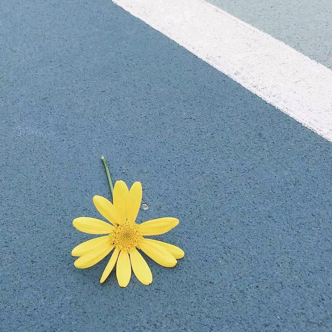 豫G