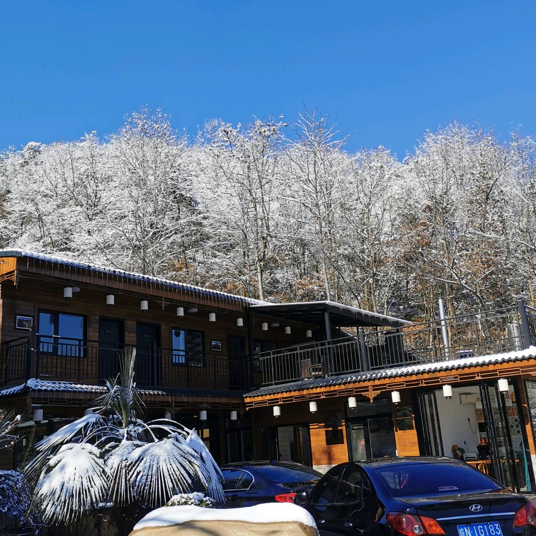 霍山燕窝冲李老板