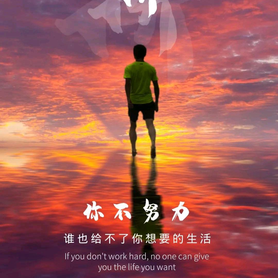 南归燕