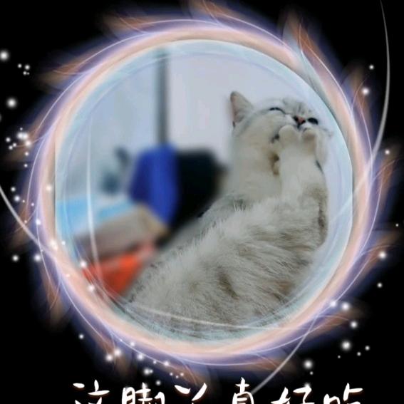 肖富婆（正颌中）