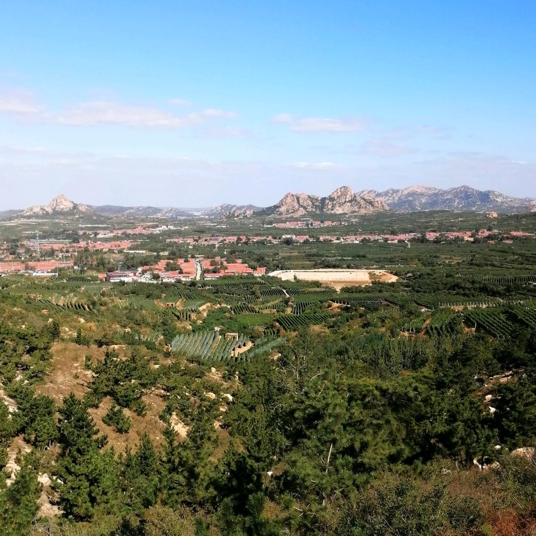 @乘风🌊踏浪🌊