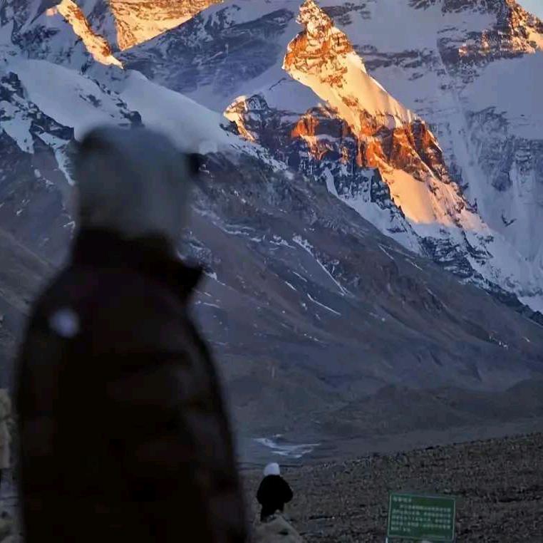 带她去西西伯利亚挖土豆