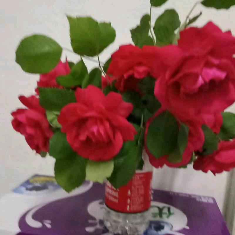 李姐拒绝私聊