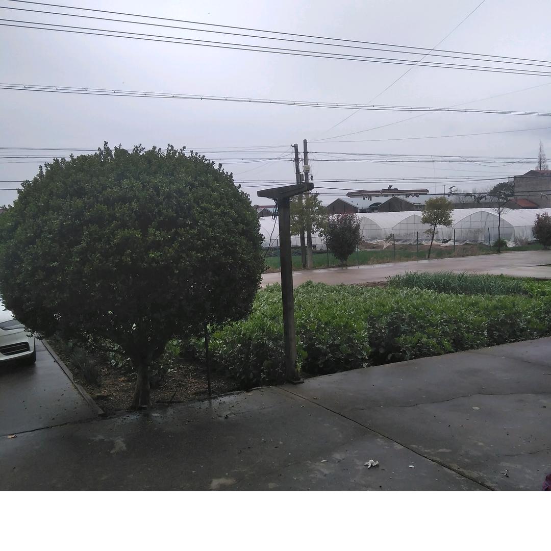 岳飞传