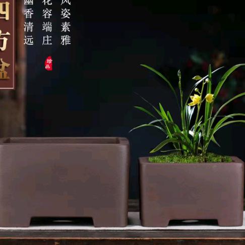 山威紫砂花盆